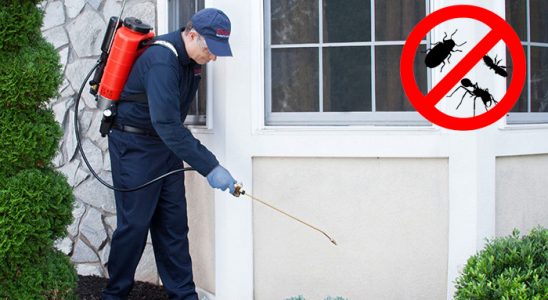Marmaraereğlisi Kene İlaçlama böcek ilaçlama ve haşere kontrolü — ilaclama-tr.com